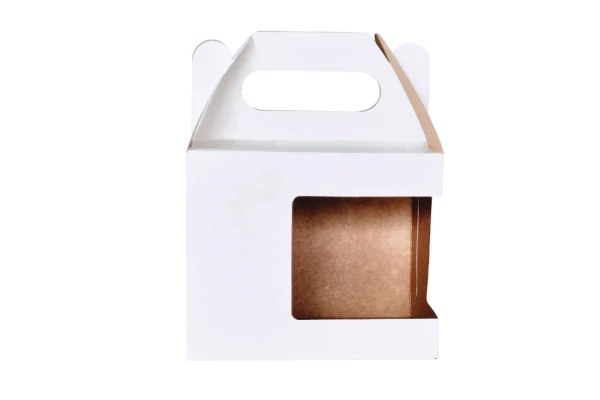 caixa branca visor e alça